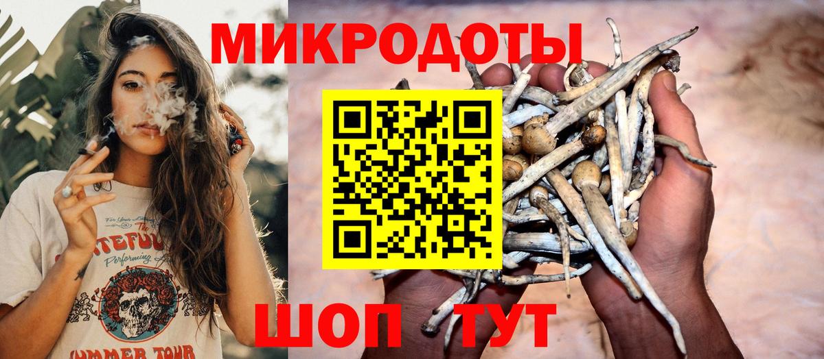 Галлюциногенные грибы MAGIC MUSHROOMS  Котлас 