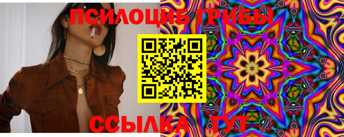 Псилоцибиновые грибы мухоморы Котлас