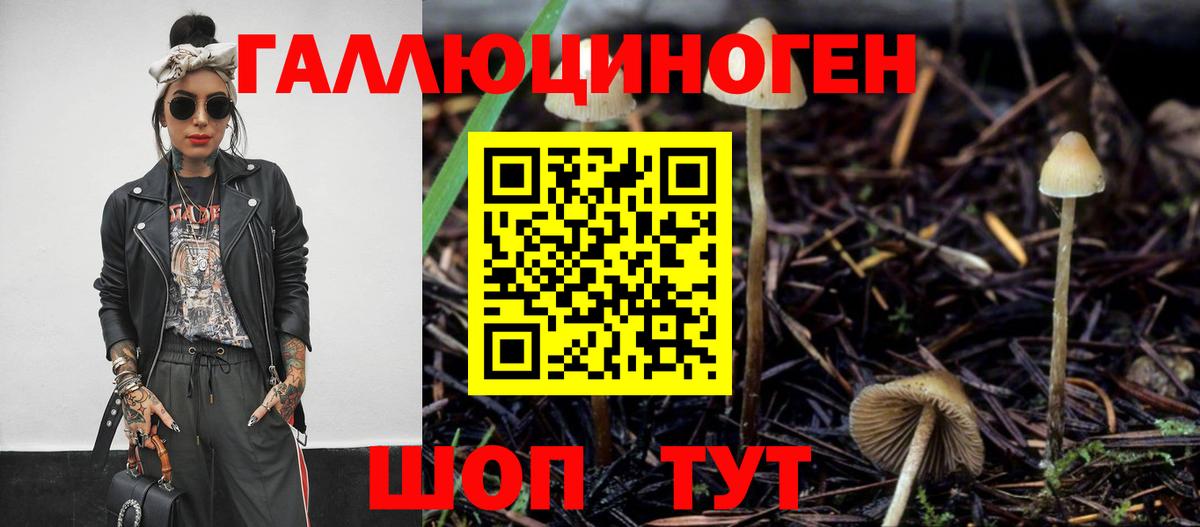 Псилоцибиновые грибы MAGIC MUSHROOMS Котлас