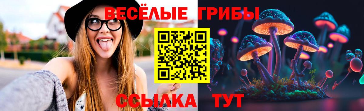 Галлюциногенные грибы Psilocybe  Вход с VPN  Котлас 